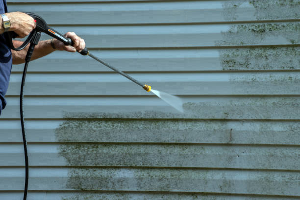 Best Driveway Cleaning and Restoration in Oak Grove, MN